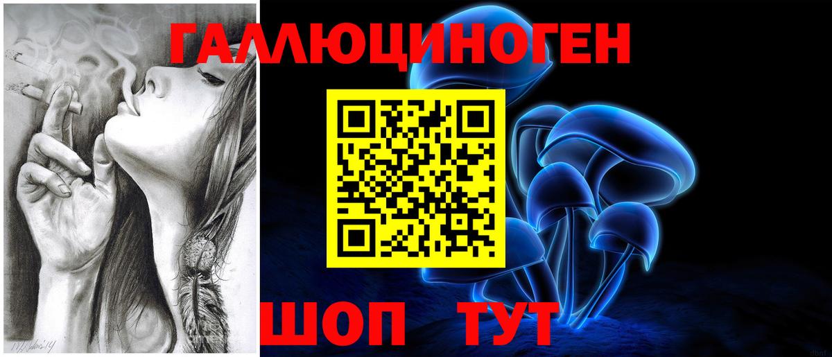 Красный Сулин  Галлюциногенные грибы прущие грибы  Вход с VPN 